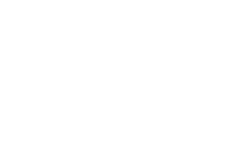IATA logo white